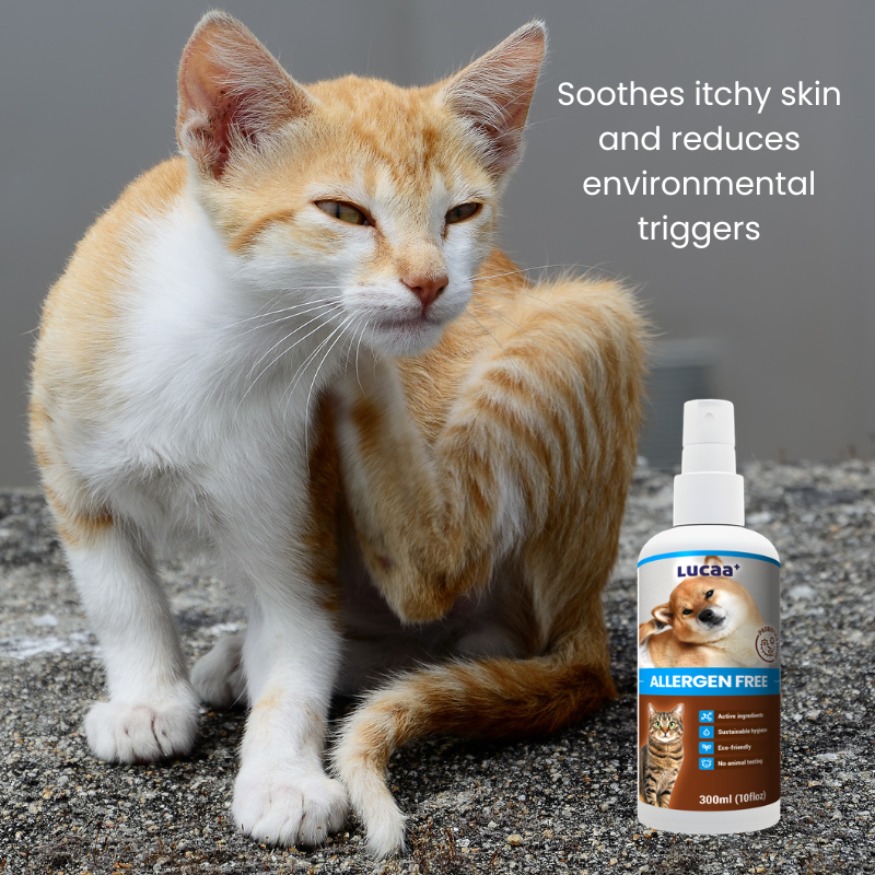 Probiotic allergen spray for pets helping soothe itchy skin and reduce environmental triggers in cats