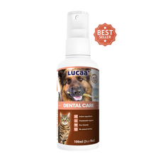 Probiotic dental care for pets – cleans teeth, freshens breath and supports healthy gums