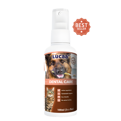 Probiotic dental care for pets – cleans teeth, freshens breath and supports healthy gums