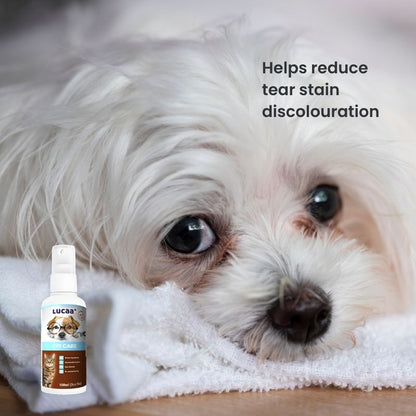 White dog with tear stain discolouration beside LUCAA+ Probiotic Eye Care spray