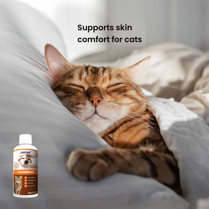 Probiotic shampoo for cats with itchy or sensitive skin