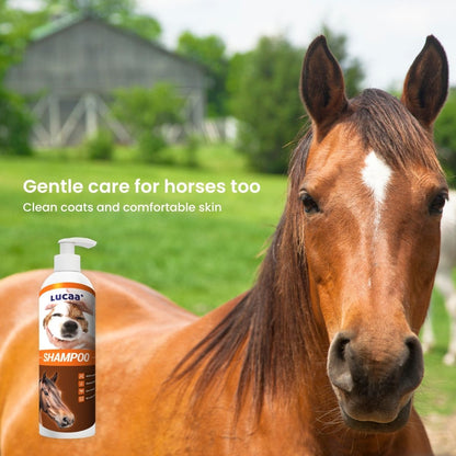 Probiotic shampoo for horses and larger animals