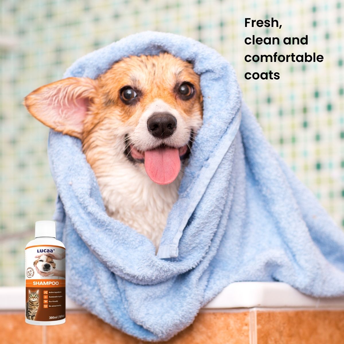 good dog shampoo for clean comfortable coats