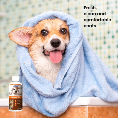 good dog shampoo for clean comfortable coats