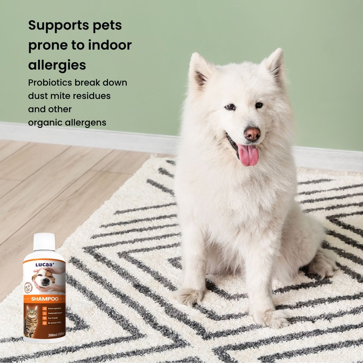 anti-itch shampoo for dogs sensitive to dust mite