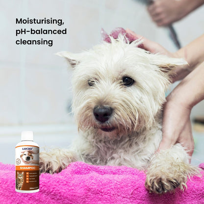 seborrhea dog shampoo for sensitive skin