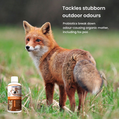 Probiotic dog shampoo for fox poo odour