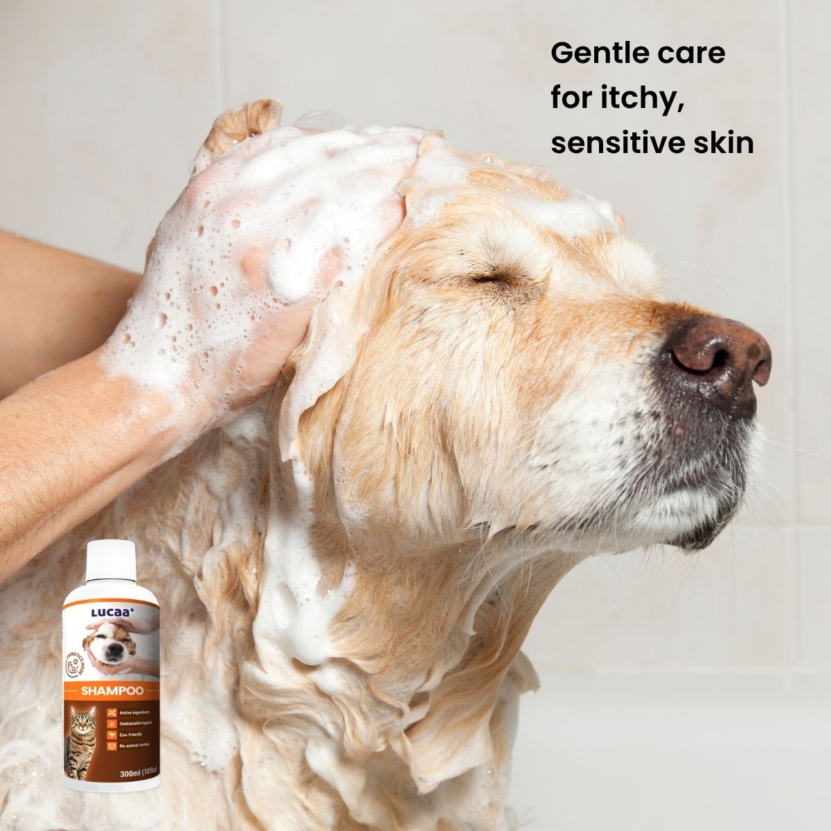 Anti-itch shampoo for dogs with itchy and sensitive skin