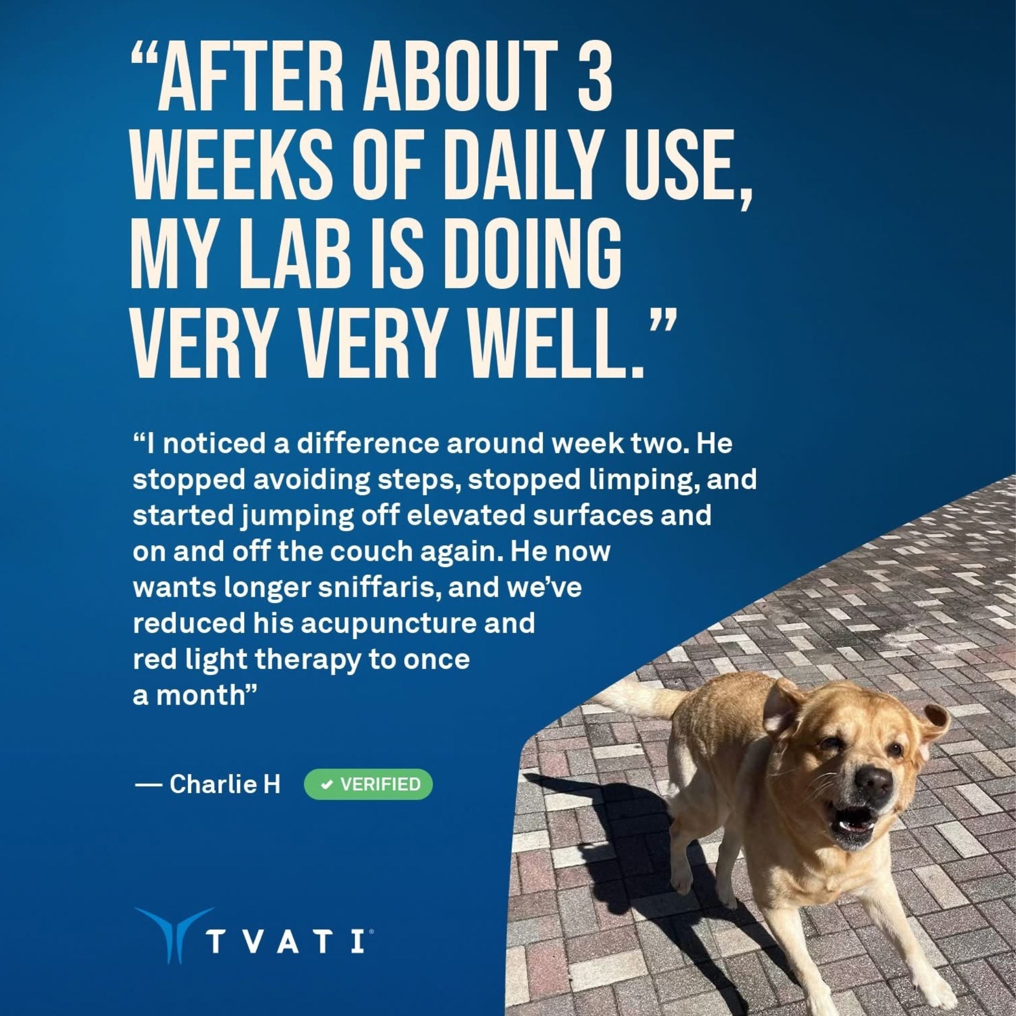 Dog owner review describing easier movement and improved comfort after using Tvati daily