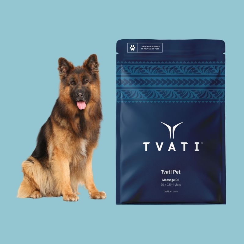 Tvati premium natural topical joint oil for older dogs with stiffness and reduced mobility, 30 single-use vials